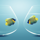 Illustration for article titled Inefficient-Sounding Postnup Agreements Are Becoming More Popular